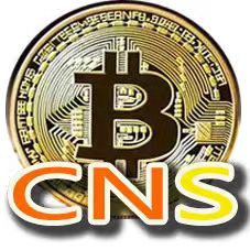 CNS数字资产